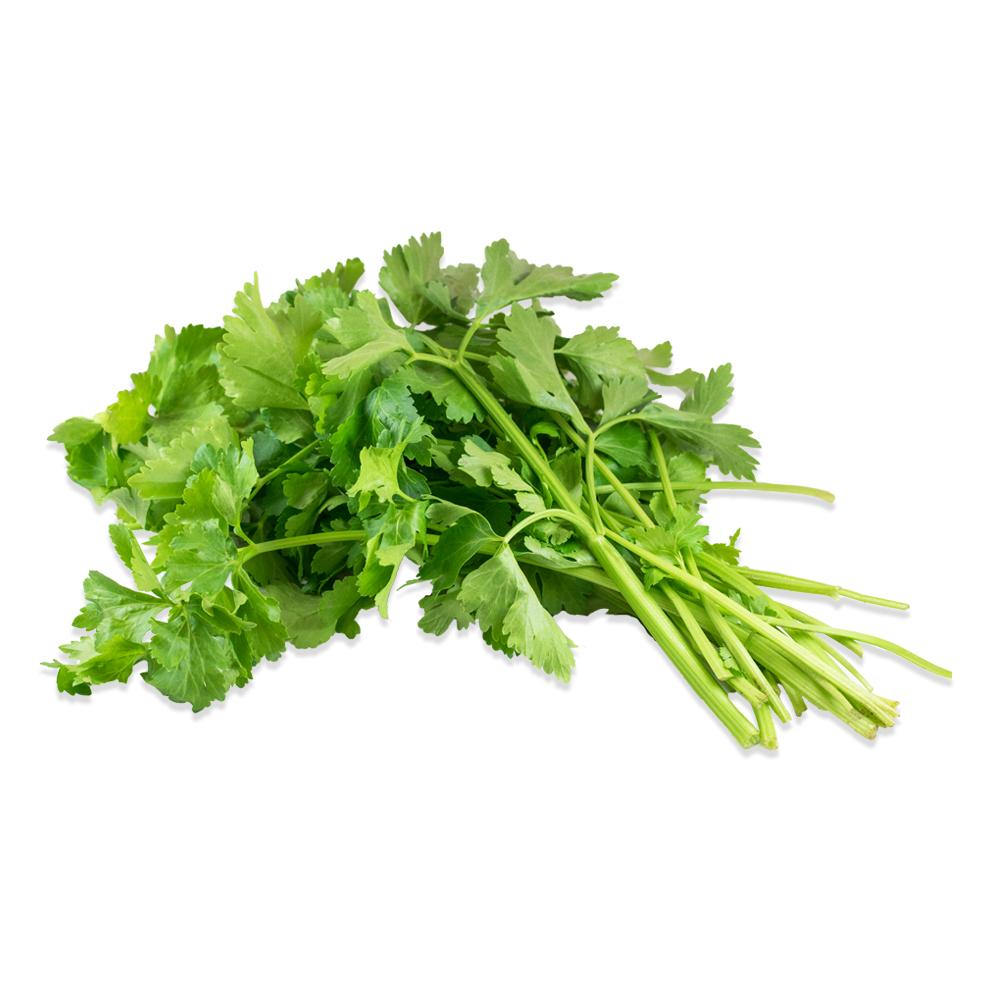 Specialty Herbs in Bulk Marx Foods