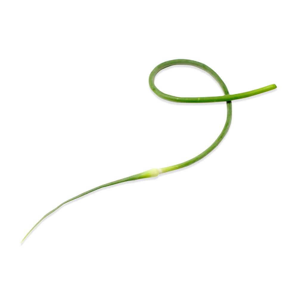 Fresh Garlic Scapes for Sale (Garlic Tops, Garlic Spears) Marx Foods