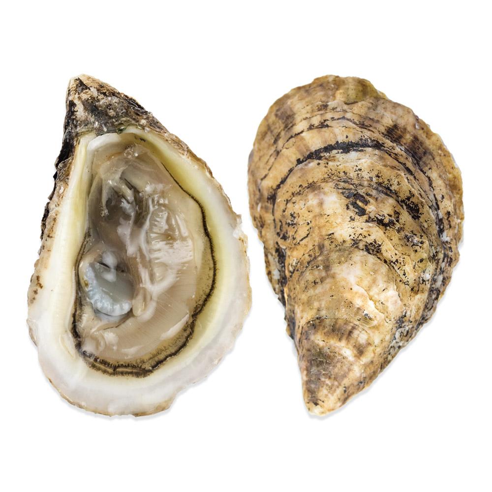 Buy Live Raspberry Point Oysters (Prince Edward Island) Marx Foods