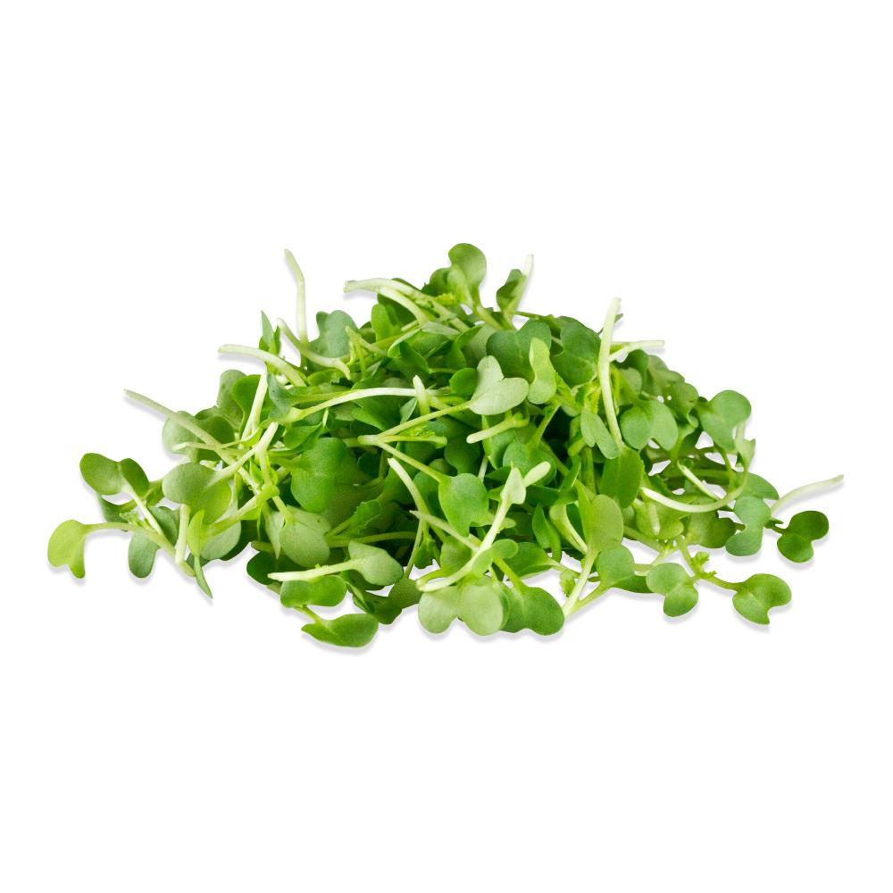Wasabi Microgreens for Sale Marx Foods