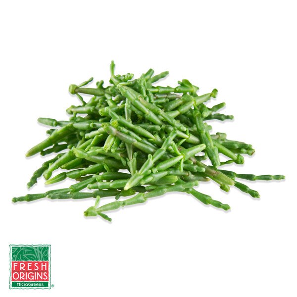 Micro Sea Beans (Sea Bean Microgreens) Marx Foods