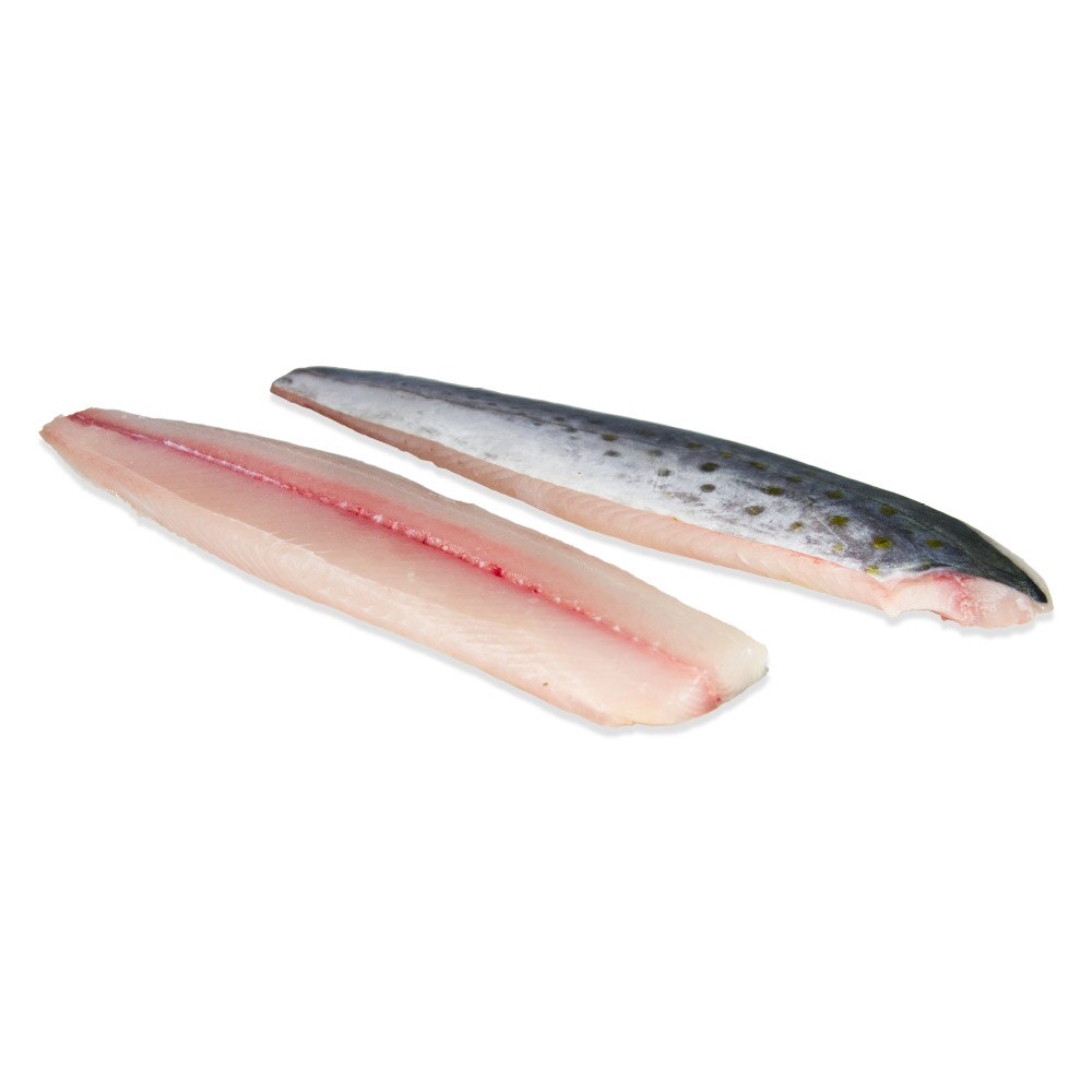 Spanish Mackerel Fillets Wholesale Marx Foods