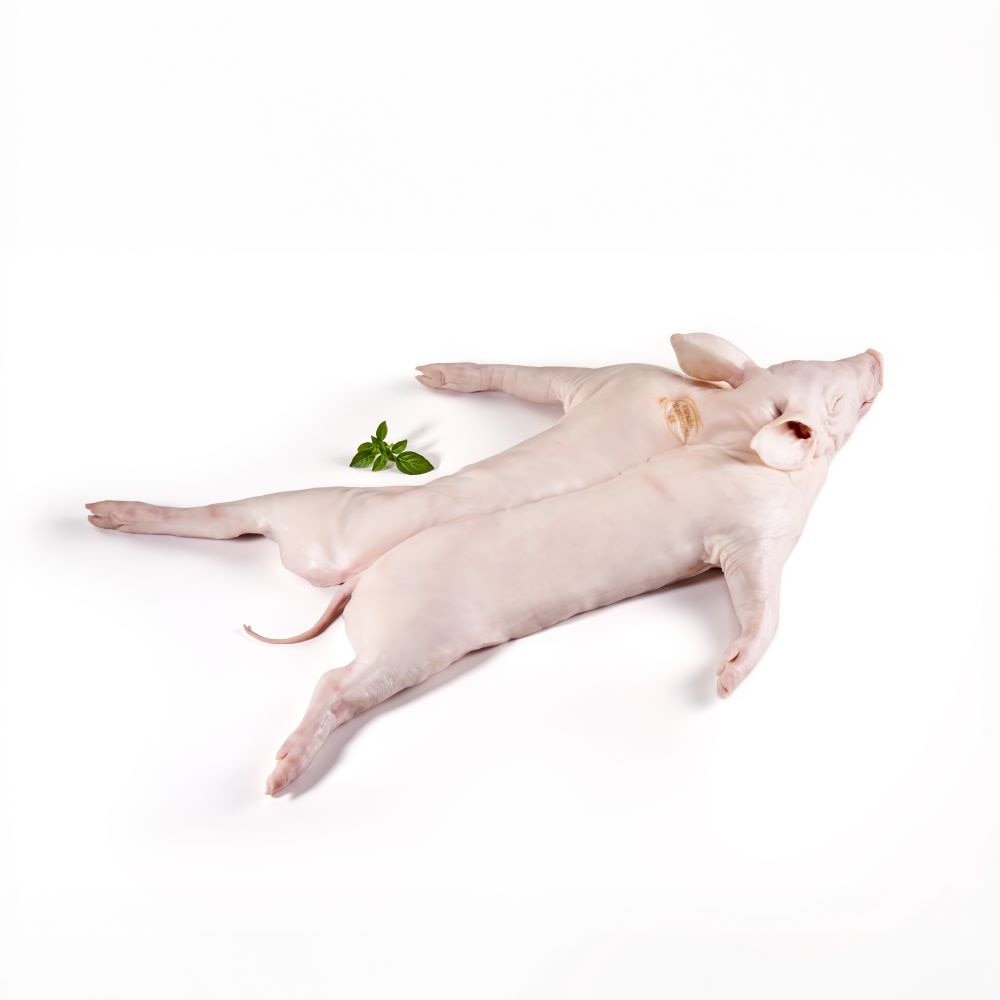 Buy 15-17lb suckling pigs at MarxFoods.com