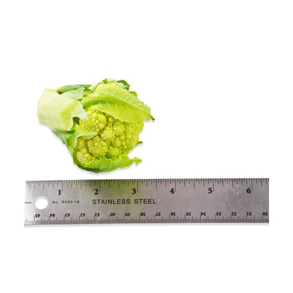 Baby Cauliflower-3