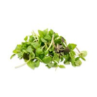 Micro Basil Mix