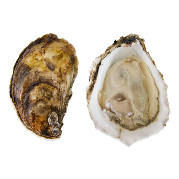 Blue Point Oysters