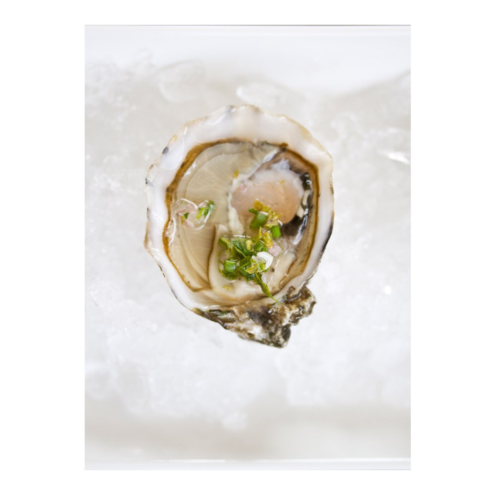 Live Blue Point Oysters in Bulk Marx Foods