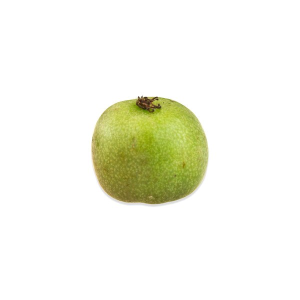Baby Kiwis-1
