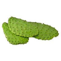 3 overlapping oval green cactus pads with thorns