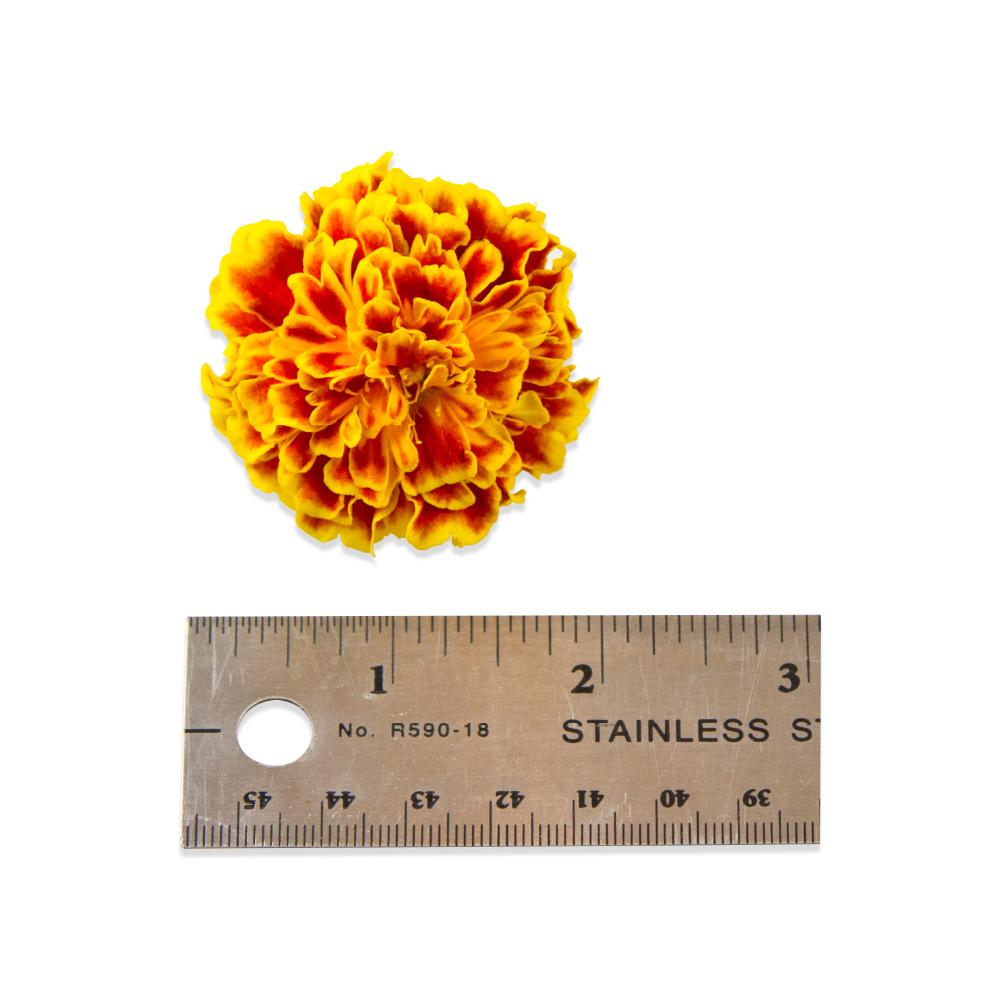 Buy Edible Marigolds in Bulk Marx Foods