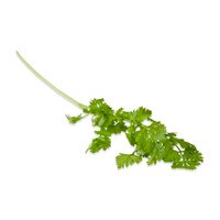 a sprig of fresh green chervil