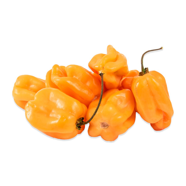 orange habanero chilies