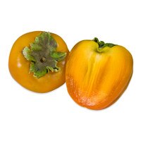 Hachiya Persimmon