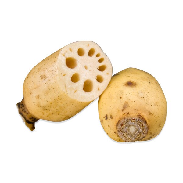 Fresh Lotus Roots