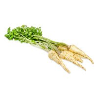 Parsley Root