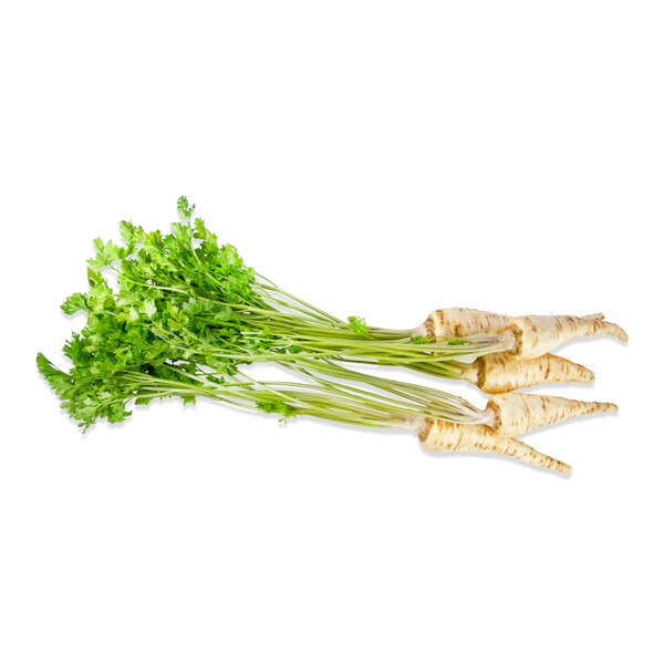 Parsley Root-1