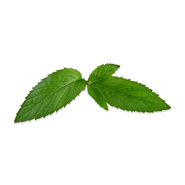 Peppermint Tops-2