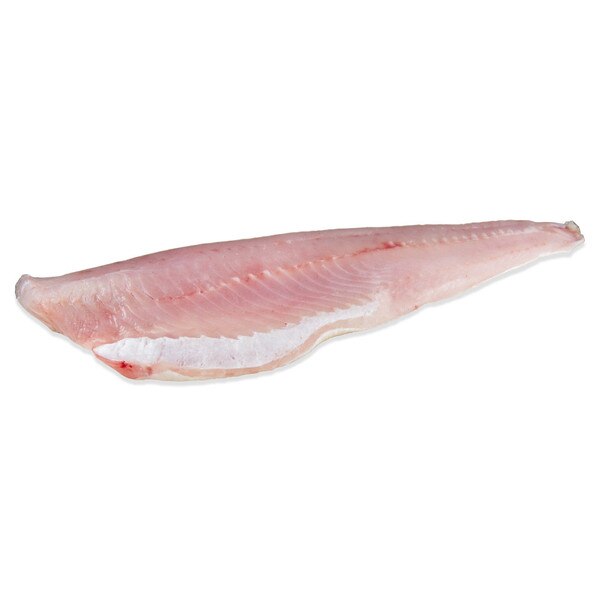 Buy Walleye Fillets in Bulk