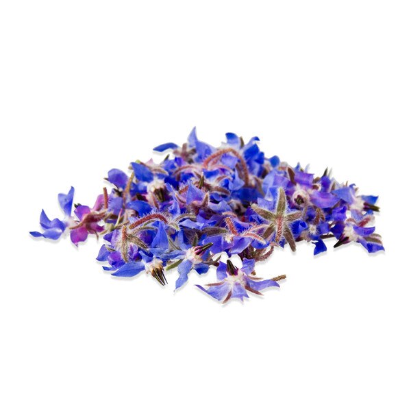 Edible Flower Freshly Preserved Freeze-dried Borage| 0.2 oz, 30+ Dried  Edible Flowers | Edible Flowers for Cakes | Edible Flowers for Cocktails 