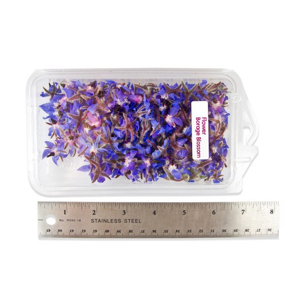 Fresh Borage Blossoms-2