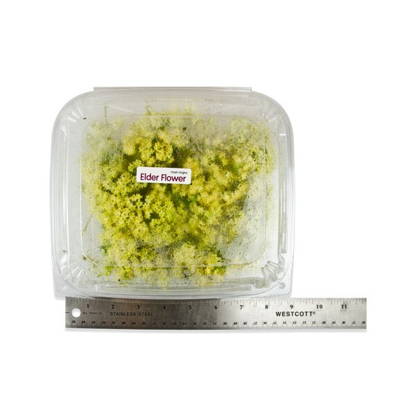 Fresh Elderflowers-2