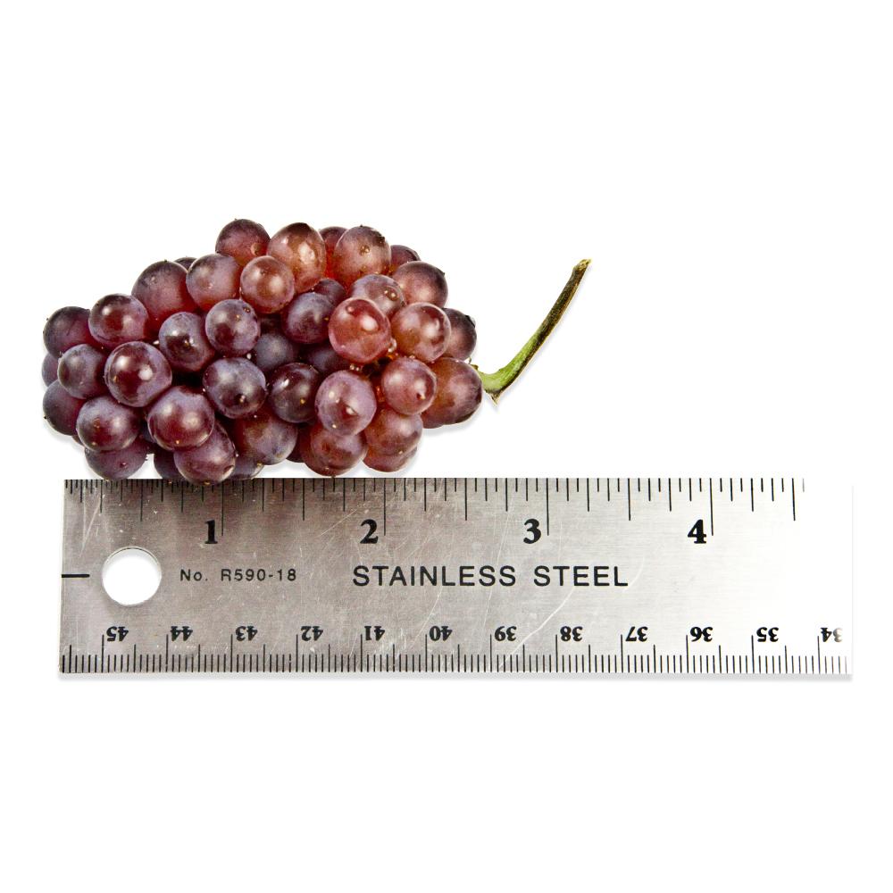Champagne Grapes Wholesale (Bulk Black Corinth) Marx Foods
