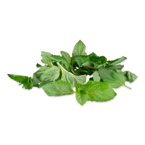 Chocolate Mint Tops-2