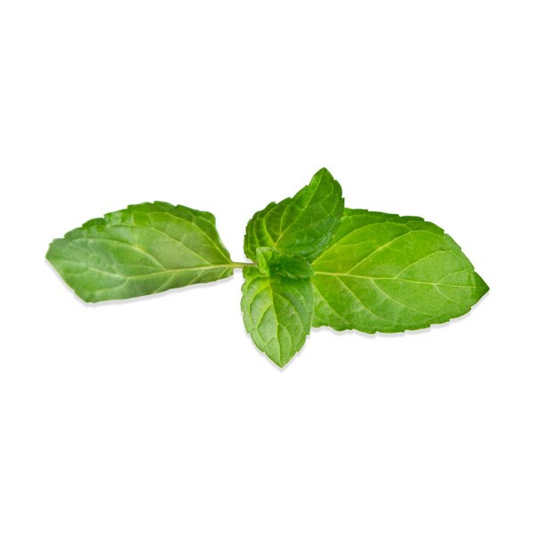 Chocolate Mint Tops-2