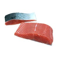 Wild Coho Salmon Fillets