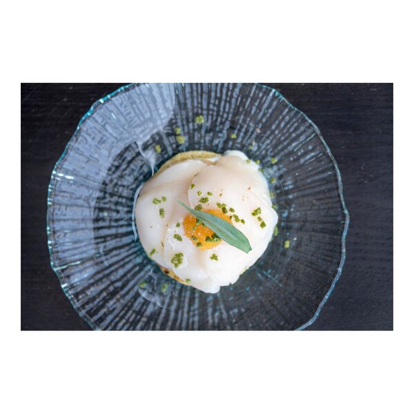 Sea scallop crudo with golden caviar & tarragon, recipe