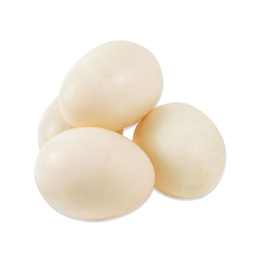 Fresh Duck Eggs For Sale Marx Foods