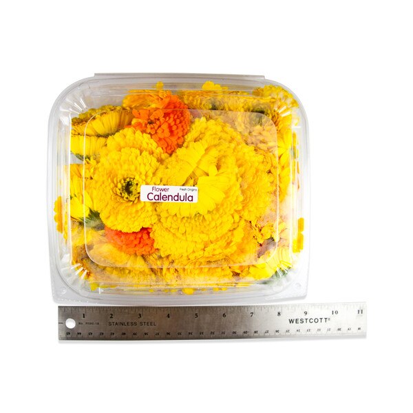 Fresh Calendulas-2