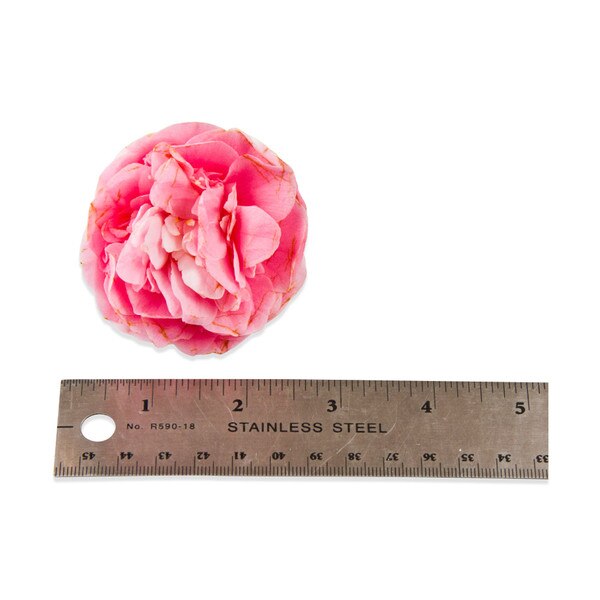 Fresh Camellias-3