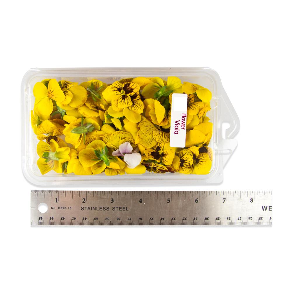 Fresh Edible Violas for Sale Marx Foods