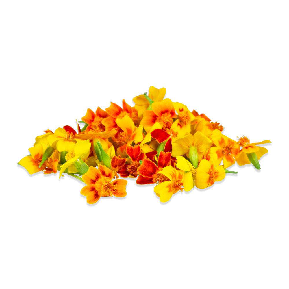 Buy Micro Marigolds in Bulk Marx Foods