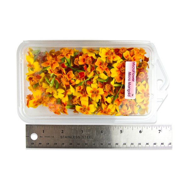 Fresh Micro Marigolds-2