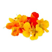 Fresh Nasturtium Flowers & Leaves-1