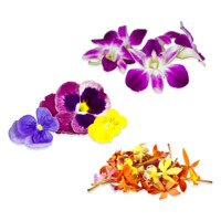 Edible purple & white karma orchids, multi-hued pansies & micro orchids