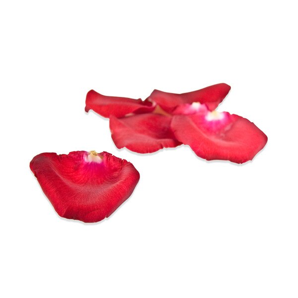 Fresh Edible Rose Petals for Sale