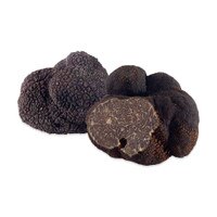 Fresh Perigord Black Winter Truffles