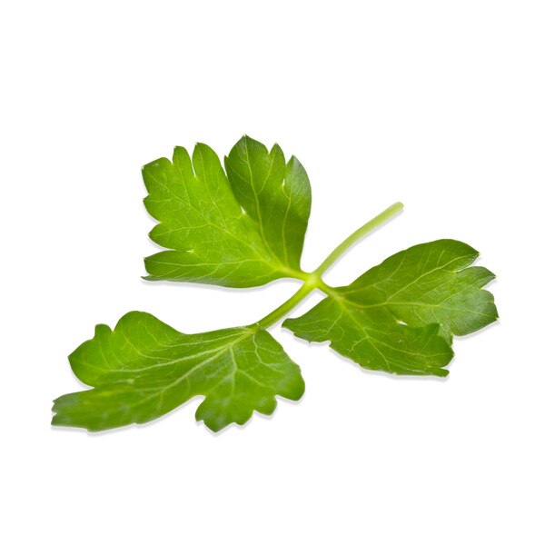 sprig of fresh Italian parsley