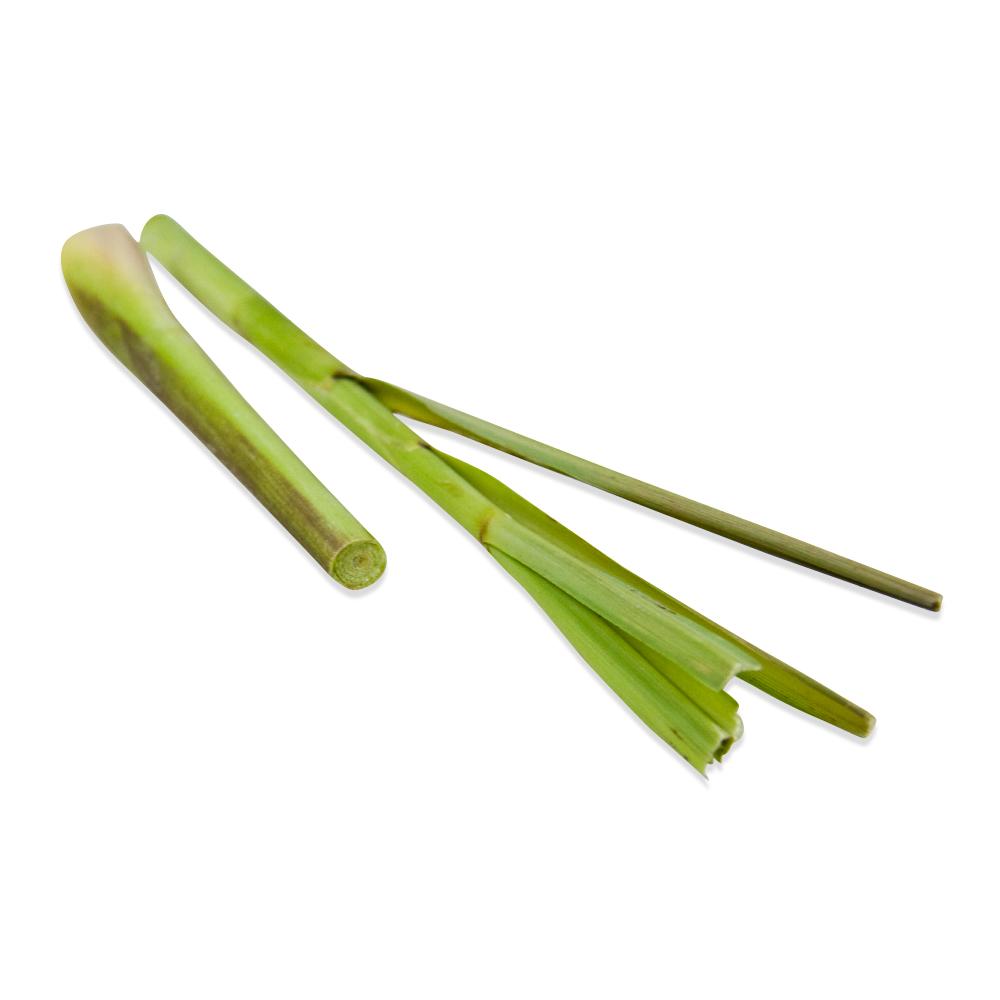 Buy Lemongrass Online in Bulk at MarxFoods.com - Freshly Cut