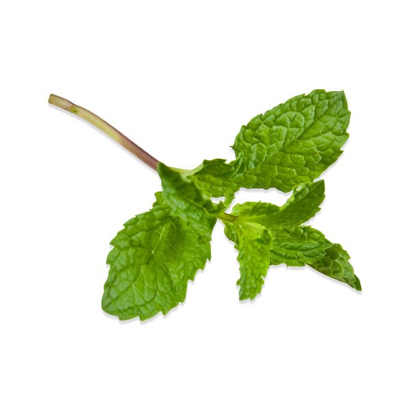 https://www.marxfoods.com/images/Fresh-Mint-Leaves_FreshMint-1.jpg?resizeid=14&resizeh=600&resizew=600