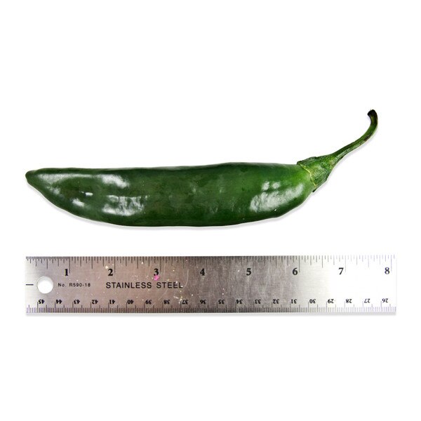 Fresh Pasilla Chiles (Chilaca)-2