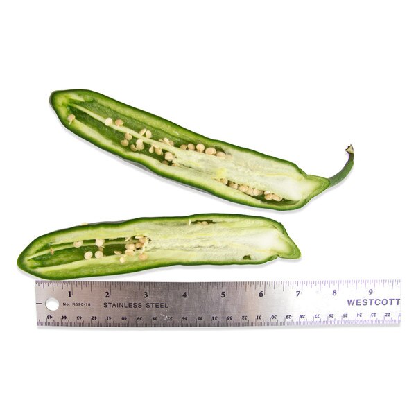 Fresh Pasilla Chiles (Chilaca)-3