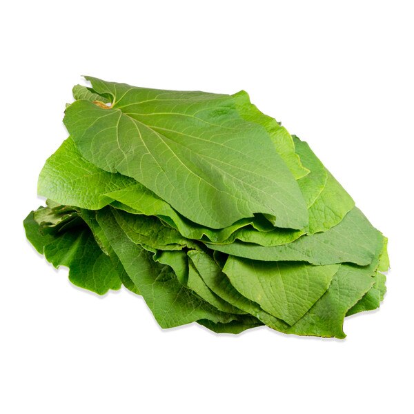 Pepperleaf (Hoja Santa)-2