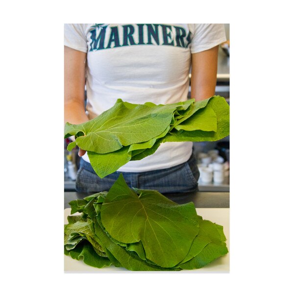 Pepperleaf (Hoja Santa)-3