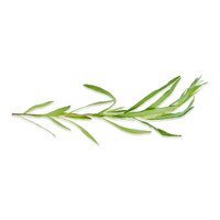 Fresh Tarragon