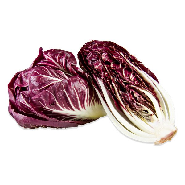 Treviso Radicchio