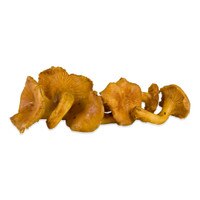 Frozen Chanterelle Mushrooms